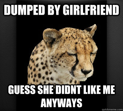 dumped by girlfriend guess she didnt like me anyways - dumped by girlfriend guess she didnt like me anyways  Defeated Cheetah