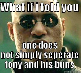WHAT IF I TOLD YOU  ONE DOES NOT SIMPLY SEPERATE TONY AND HIS BUNS Matrix Morpheus