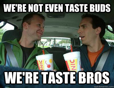 we're not even taste buds we're taste bros - we're not even taste buds we're taste bros  Sonic Guys