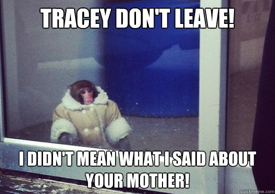 Tracey don't leave! I didn't mean what I said about your mother!  Ikea Monkey