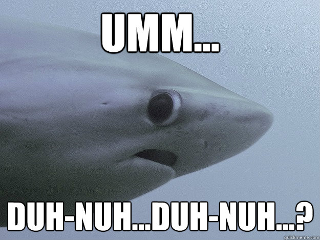 Umm... Duh-Nuh...Duh-Nuh...?  Shy Shark