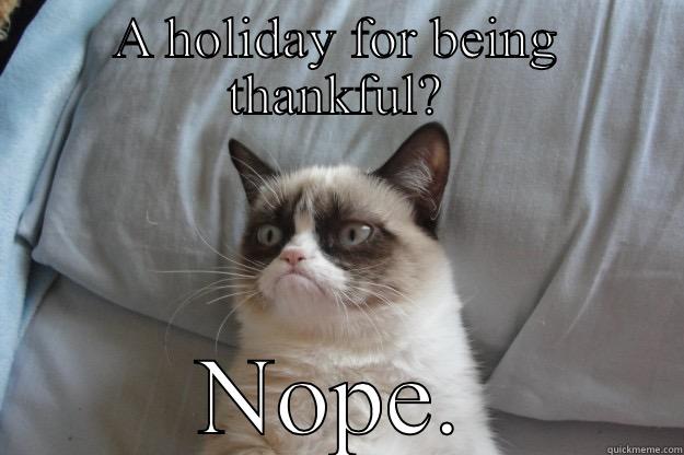 A HOLIDAY FOR BEING THANKFUL? NOPE. Grumpy Cat