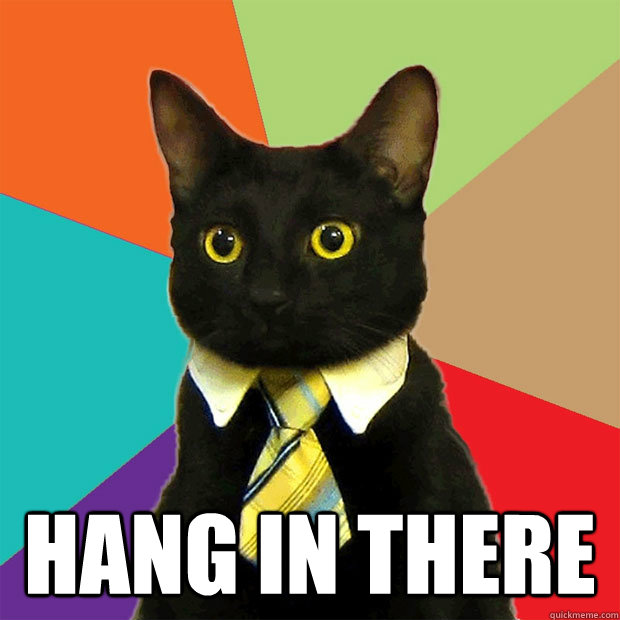  Hang In There -  Hang In There  Business Cat