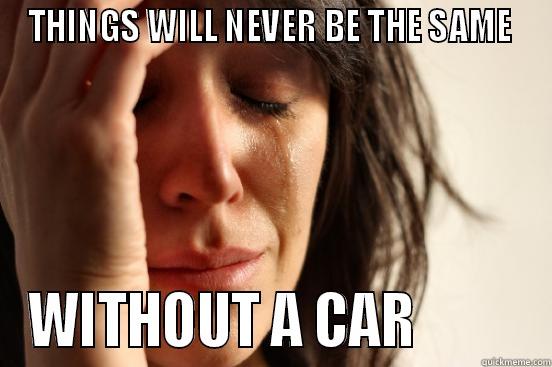 THINGS WILL NEVER BE THE SAME  WITHOUT A CAR          First World Problems