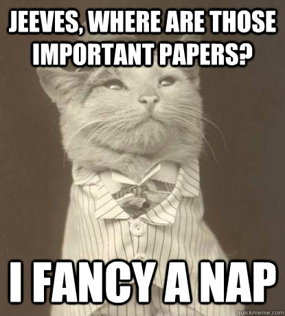 Jeeves, where are those important papers? I fancy a nap  Aristocat