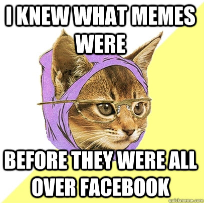I knew what memes were before they were all over facebook  Hipster Kitty