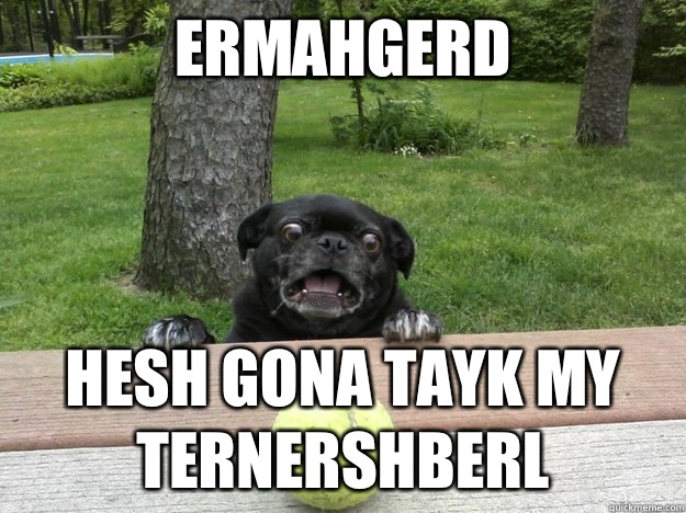 Ermahgerd Hesh gona tayk my Ternershberl  Berks Dog