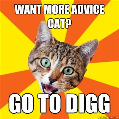 Want more advice cat? go to digg - Want more advice cat? go to digg  Bad Advice Cat