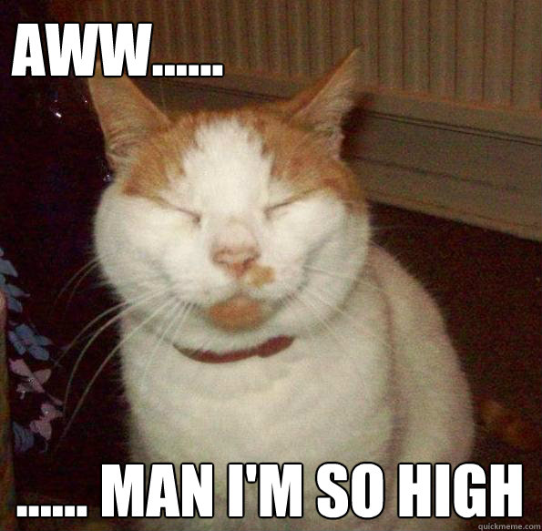 aww...... ...... man I'm so high - aww...... ...... man I'm so high  Misc