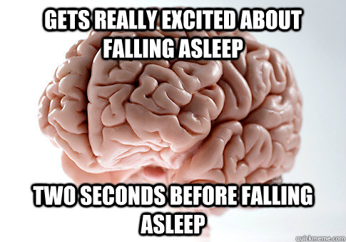 Gets really excited about falling asleep two seconds before falling asleep  Scumbag Brain