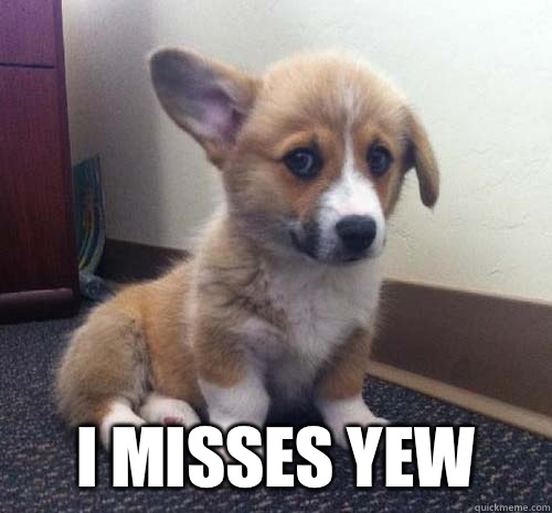  i misses yew -  i misses yew  Miss You Corgi