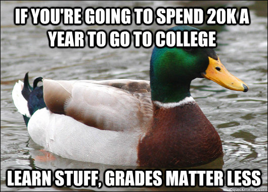 If you're going to spend 20k a year to go to college learn stuff, grades matter less  Actual Advice Mallard