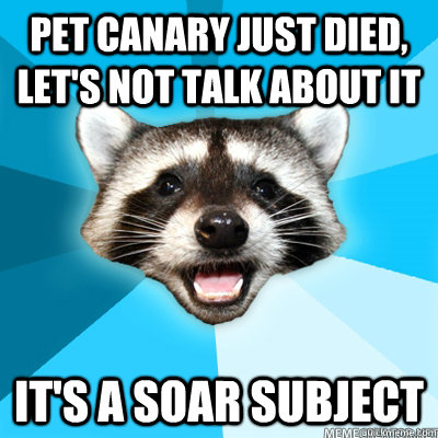 pet canary just died, let's not talk about it it's a soar subject   Lame Pun Raccoon