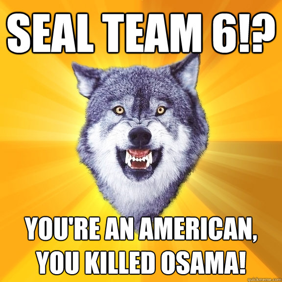 Seal Team 6!? you're an american, YOU killed Osama!  Courage Wolf