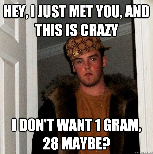 Hey, I just met you, and this is crazy I don't want 1 gram, 28 maybe?  Scumbag Steve