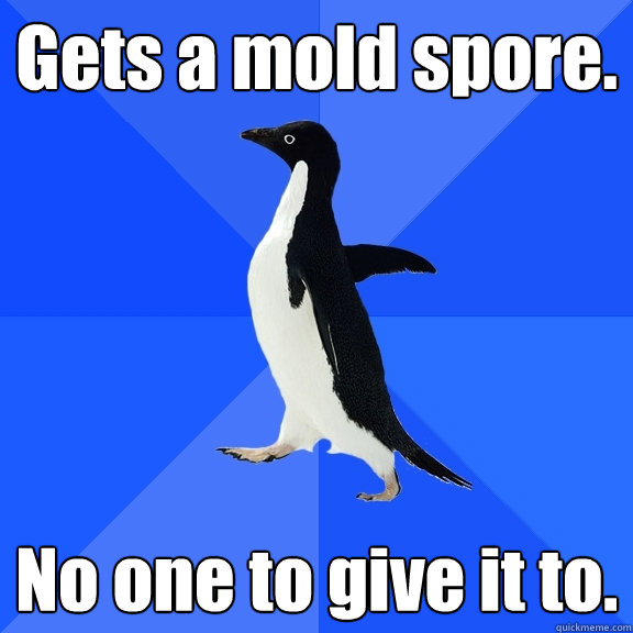 Gets a mold spore. No one to give it to.
  Socially Awkward Penguin
