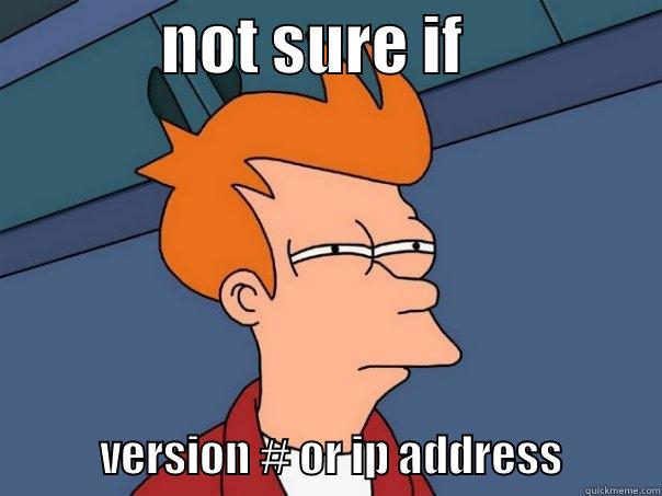             NOT SURE IF                            VERSION # OR IP ADDRESS           Futurama Fry