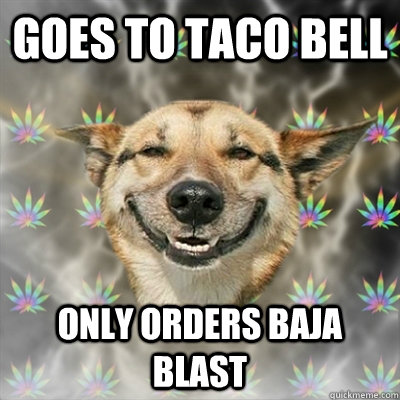 goes to taco bell only orders baja blast   Stoner Dog