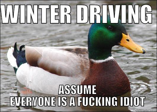 WINTER DRIVING  ASSUME EVERYONE IS A FUCKING IDIOT Actual Advice Mallard