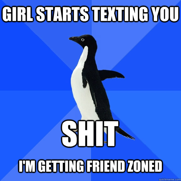 Girl starts texting you Shit  i'm getting friend zoned  Socially Awkward Penguin