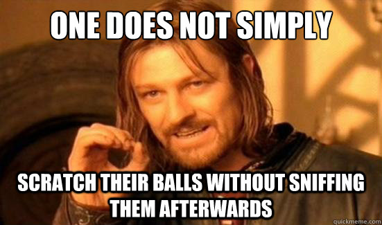 One Does Not Simply scratch their balls without sniffing them afterwards  Boromir