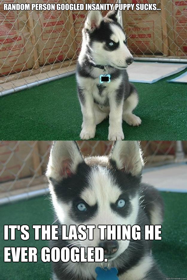 Random person googled Insanity puppy sucks... It's the last thing he ever googled.  Insanity puppy