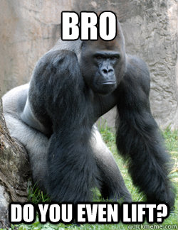 BRO do you even lift? - BRO do you even lift?  Gorilla