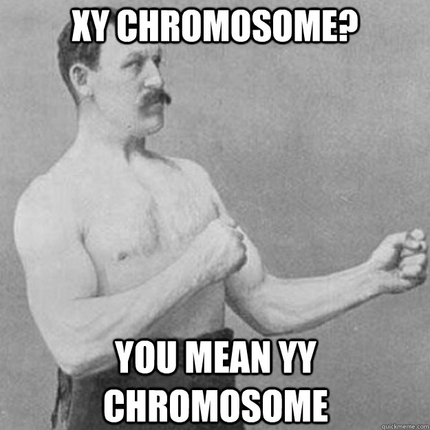 XY chromosome? you mean YY chromosome  overly manly man