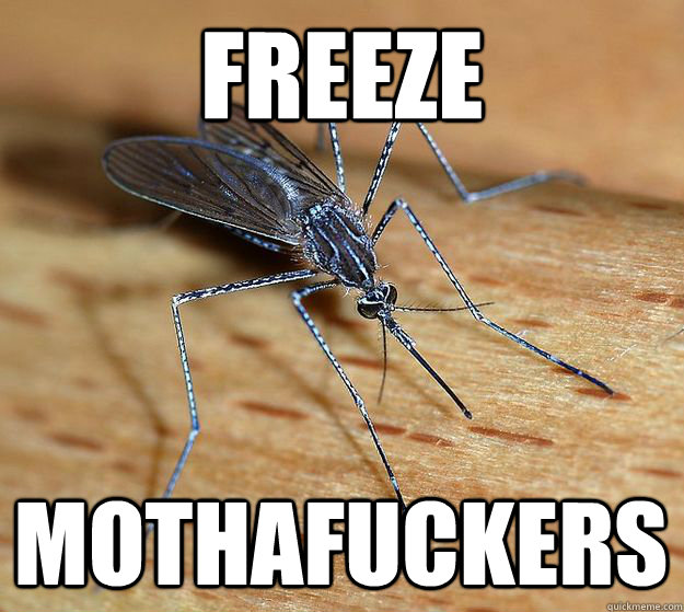 Freeze mothafuckers  