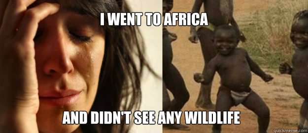 I went to Africa and didn't see any wildlife  