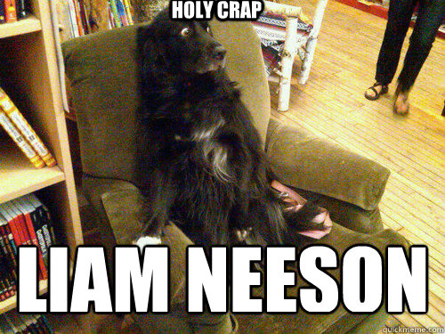 Holy Crap Liam Neeson  scared dog