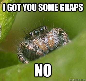 I got you some graps no  Misunderstood Spider