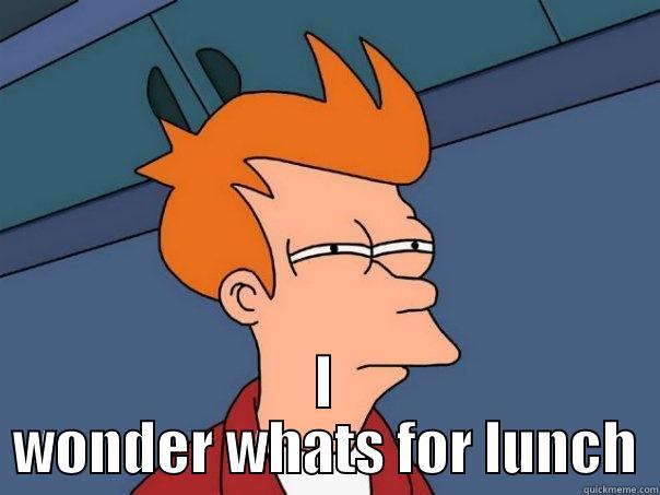  I WONDER WHATS FOR LUNCH Futurama Fry