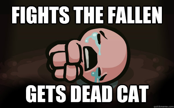 FIGHTS THE FALLEN GETS DEAD CAT  The Binding of Isaac