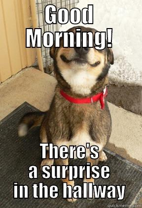 GOOD MORNING! THERE'S A SURPRISE IN THE HALLWAY Good Dog Greg