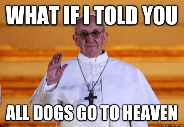 What if I told you All dogs go to heaven  Pope Francis