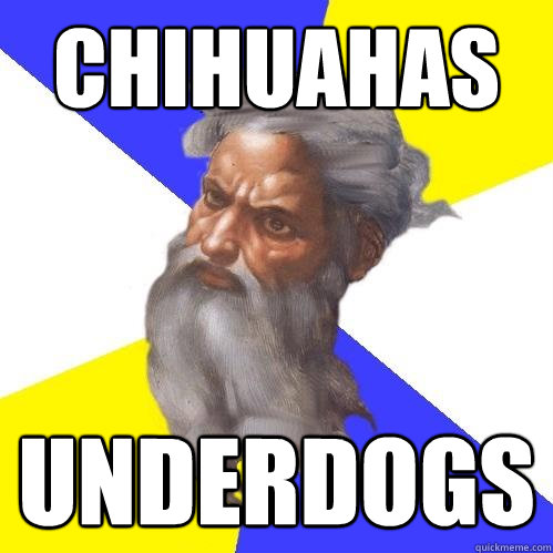 Chihuahas UNDERDOGS  Advice God