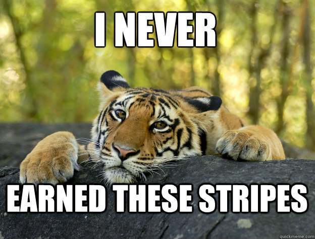 I Never Earned these stripes - I Never Earned these stripes  Confession Tiger