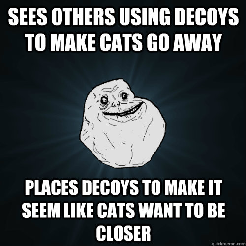 Sees others using decoys to make cats go away places decoys to make it seem like cats want to be closer  Forever Alone