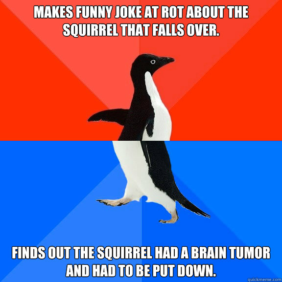 Makes funny joke at rot about the squirrel that falls over. finds out the squirrel had a brain tumor and had to be put down.  Socially Awesome Awkward Penguin