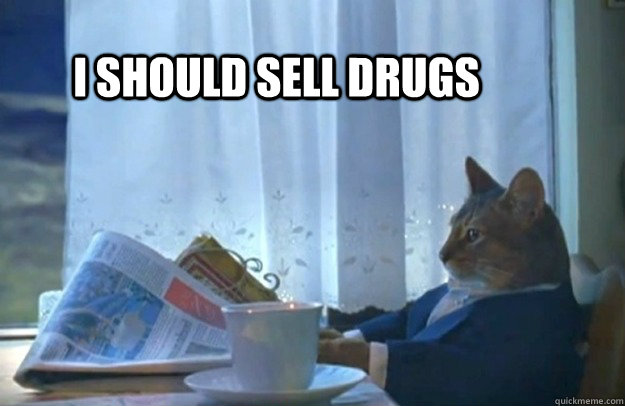 I should sell drugs  Sophisticated Cat