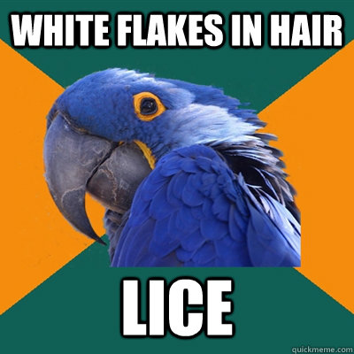 White flakes in hair LICE  Paranoid Parrot