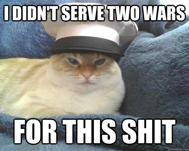 I didn't serve two wars  For this shit - I didn't serve two wars  For this shit  Angry War Kitty