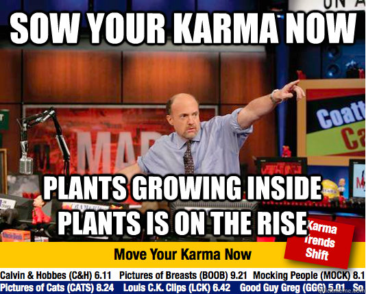 Sow your karma now plants growing inside plants is on the rise  Mad Karma with Jim Cramer