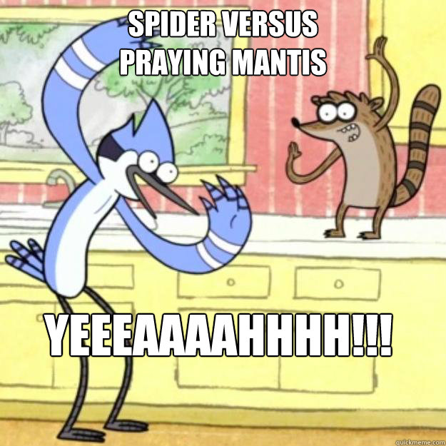 spider versus praying mantis
 YEEEaaaahhhh!!! - spider versus praying mantis
 YEEEaaaahhhh!!!  Regular Show