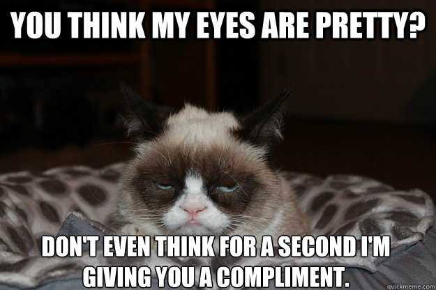 You think my eyes are pretty? don't even think for a second i'm giving you a compliment. - You think my eyes are pretty? don't even think for a second i'm giving you a compliment.  Beds Are Horrible, Grumpy Cat