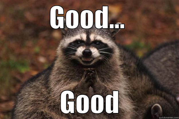 GOOD...  GOOD Evil Plotting Raccoon