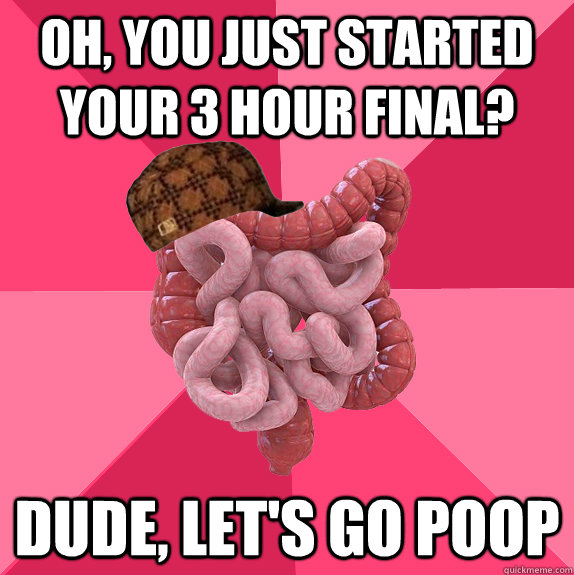 Oh, you just started your 3 hour final? Dude, let's go poop - Oh, you just started your 3 hour final? Dude, let's go poop  Misc