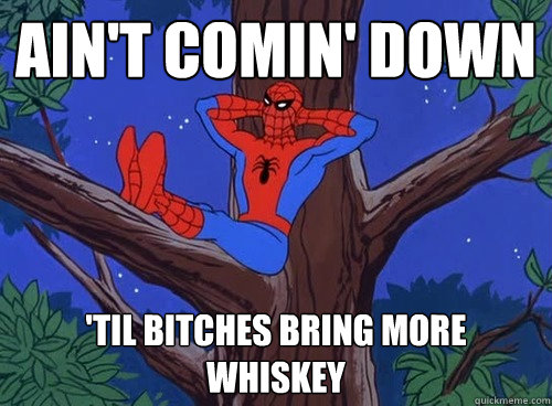 ain't comin' down 'til bitches bring more whiskey  Spider man