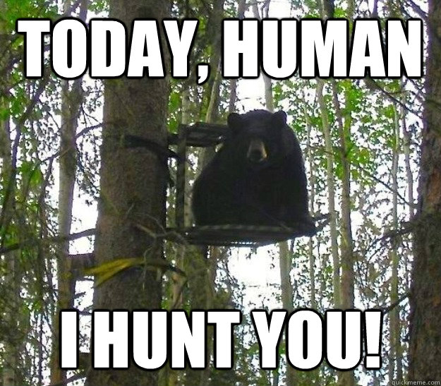 Hunting Bear memes | quickmeme Hunting Bear memes | quickmeme
